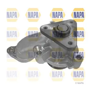 NWP1252 NAPA