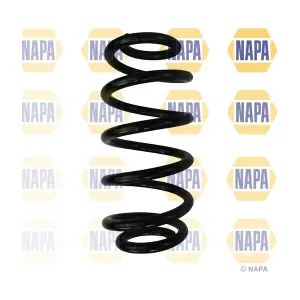 NAPA NCS1699