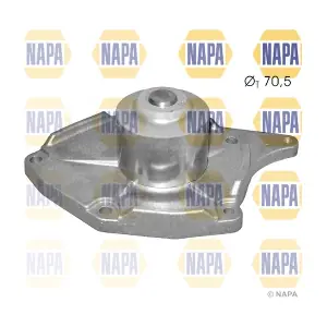 NAPA NWP1443