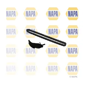 NCK4041 NAPA