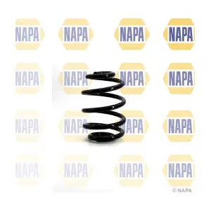 NCS1146 NAPA