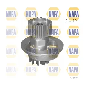 NAPA NWP1164