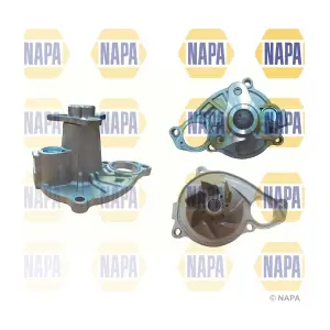 NWP1598 NAPA