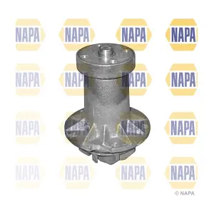 NAPA NWP1308