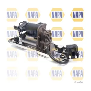 NAS2014 NAPA