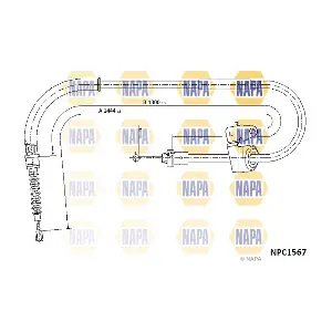 NPC1567 NAPA