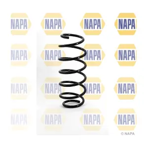NCS1081 NAPA