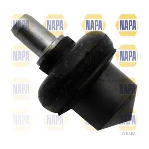NAPA NST0319