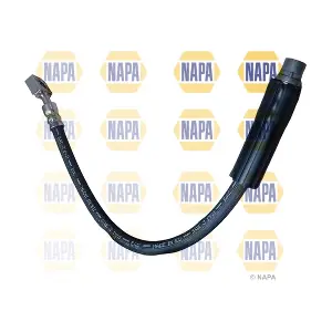 NAPA NBH1239