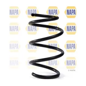 NCS2009 NAPA