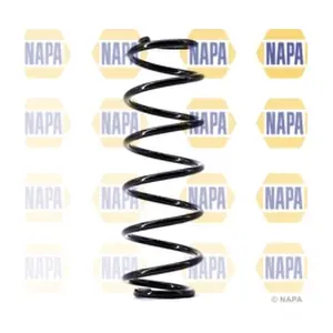 NCS1462 NAPA