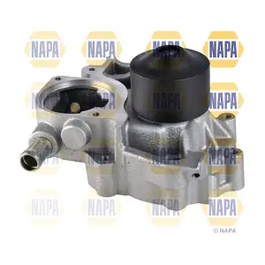 NAPA NWP1667