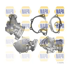 NAPA NWP1260
