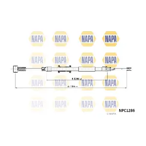 NPC1286 NAPA