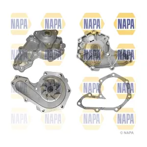 NAPA NWP1438