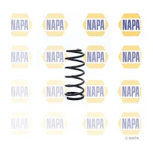 NCS1180 NAPA