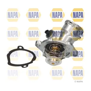NTH1319 NAPA