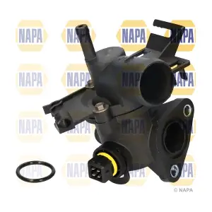 NTH1331 NAPA