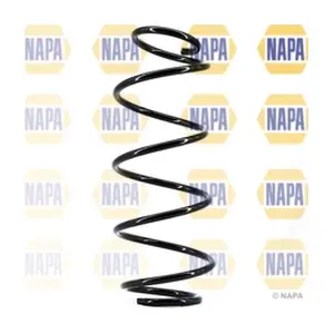 NCS1668 NAPA
