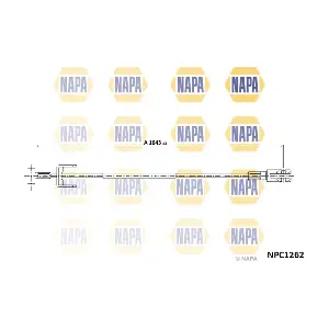 NAPA NPC1262