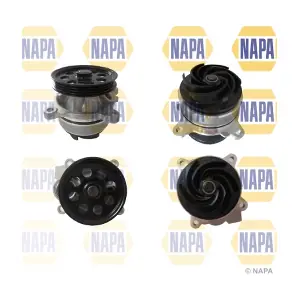 NAPA NWP1595