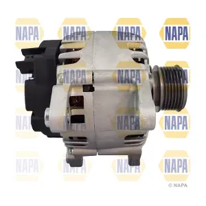 NAL1197 NAPA