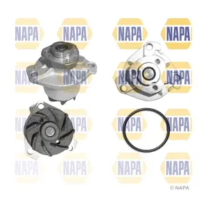NAPA NWP1018