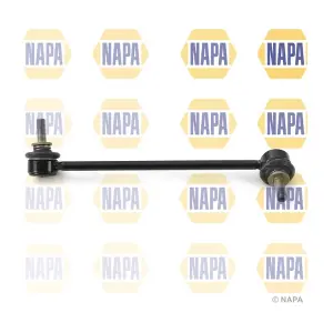 NST4419 NAPA