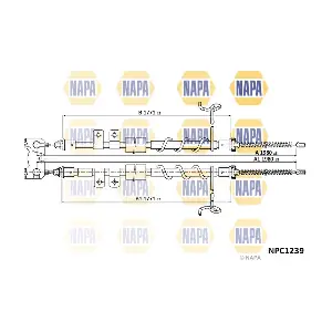 NAPA NPC1239