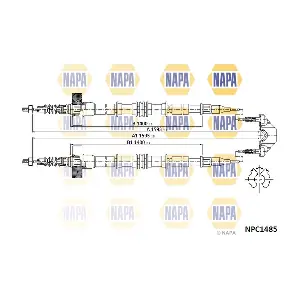 NPC1485 NAPA