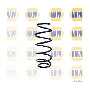 NCS1262 NAPA