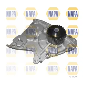 NAPA NWP1365