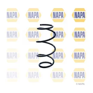 NCS1256 NAPA