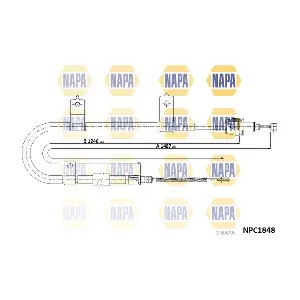 NPC1848 NAPA