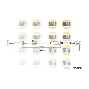 NPC1099 NAPA