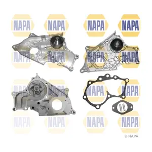 NAPA NWP1511