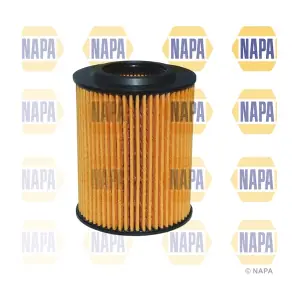NFO3146 NAPA