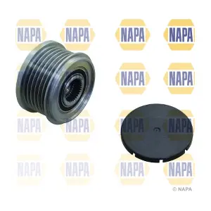 NOP1118 NAPA