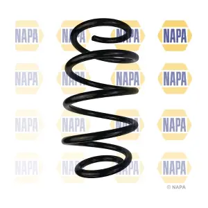 NCS1721 NAPA