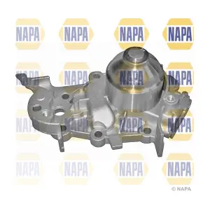NAPA NWP1444
