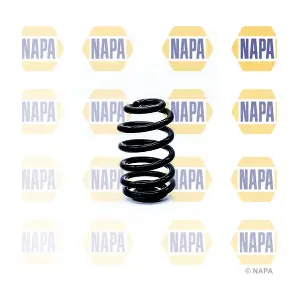 NAPA NCS1316