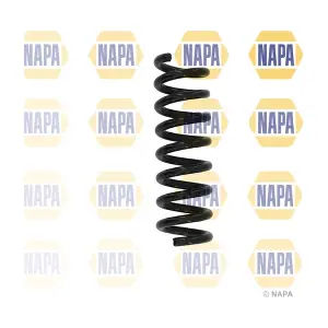 NCS1646 NAPA