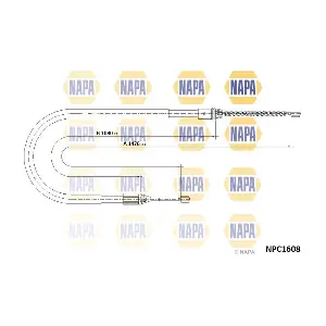 NAPA NPC1608