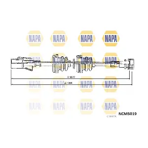 NAPA NCM5019