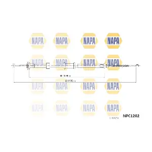 NPC1202 NAPA