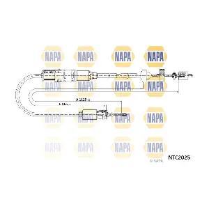 NTC2025 NAPA