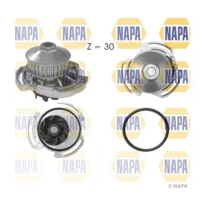 NAPA NWP1011