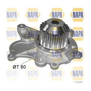 NAPA NWP1250