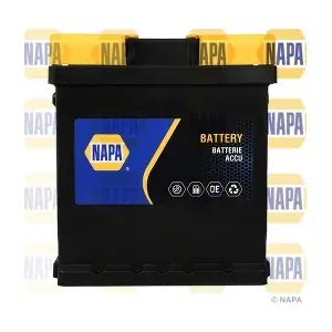 NAPA 202N