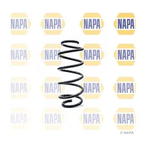 NCS1198 NAPA